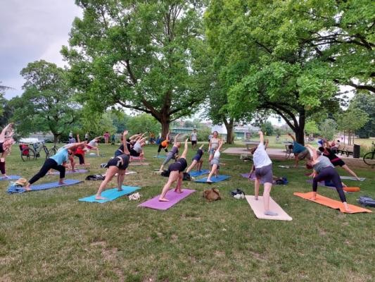 Sport im Park Yoga